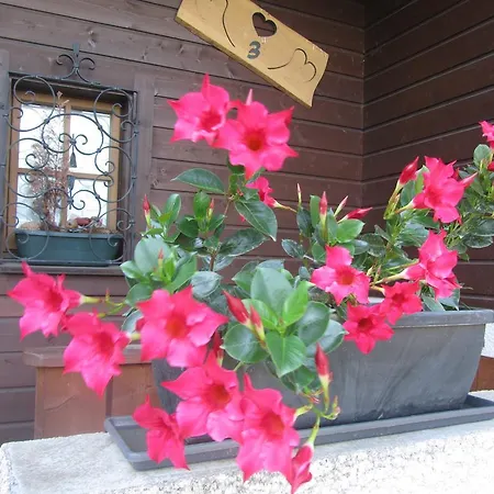 Coeurs Des Alpes Сен-Жерве-Ле-Бэн